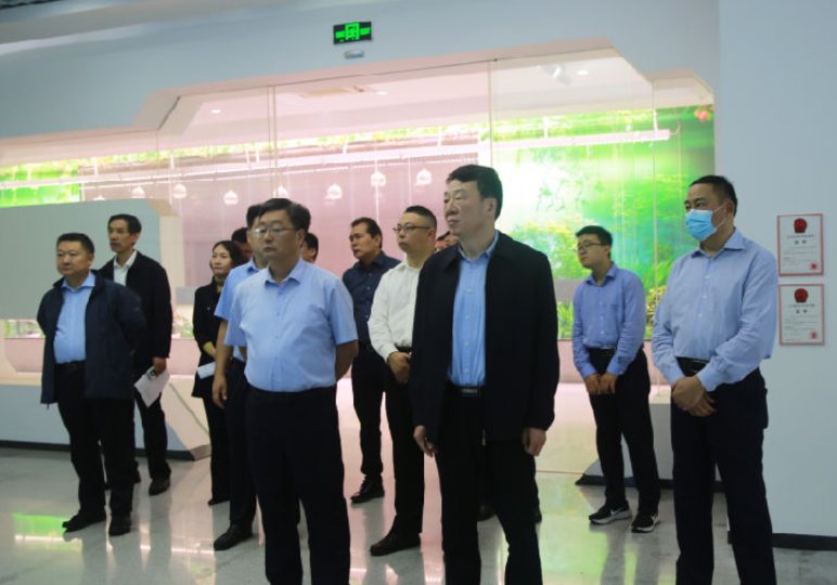 临沂市委副书记、市长任刚一行到世界杯官网集团调研指导