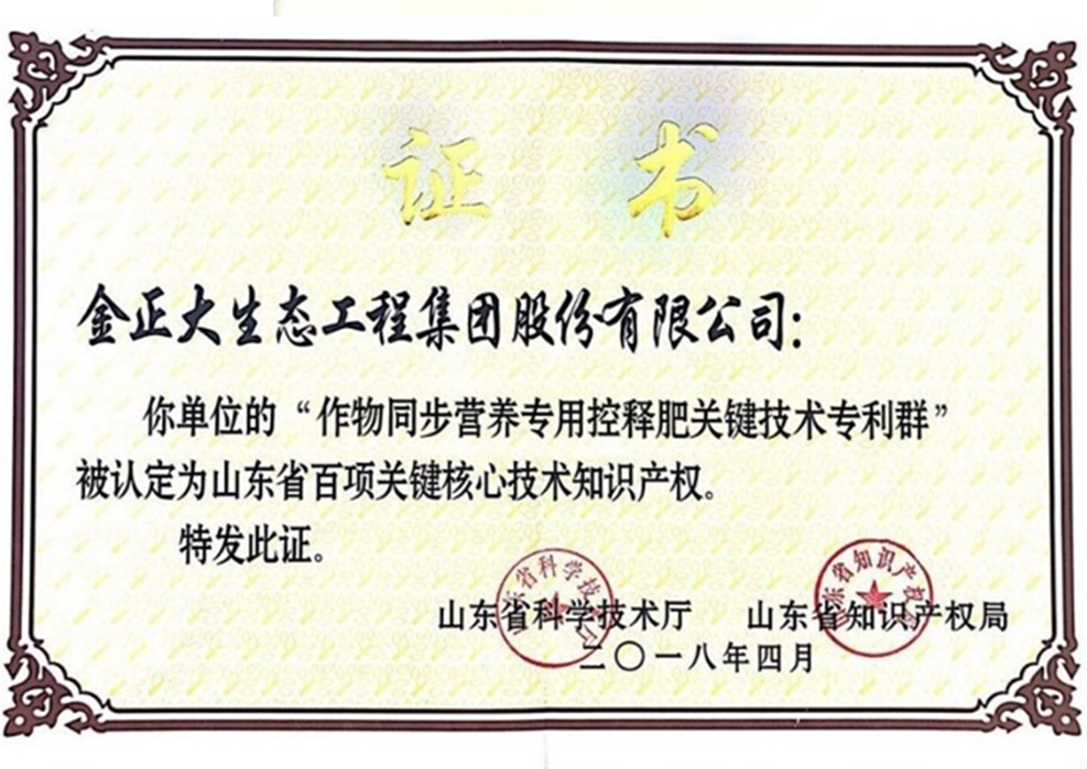 世界杯官网喜获山东省百项关键核心技术知识产权和专利一等奖
